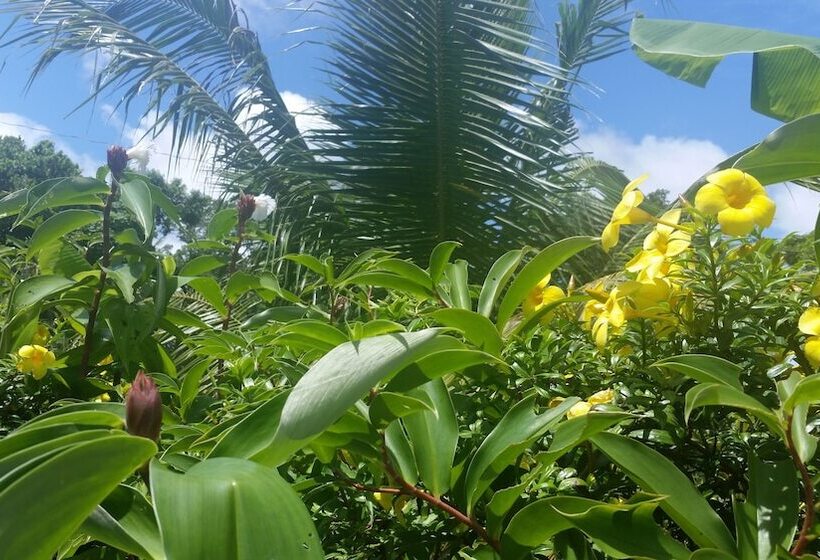 客栈  Banana Grove El Nido