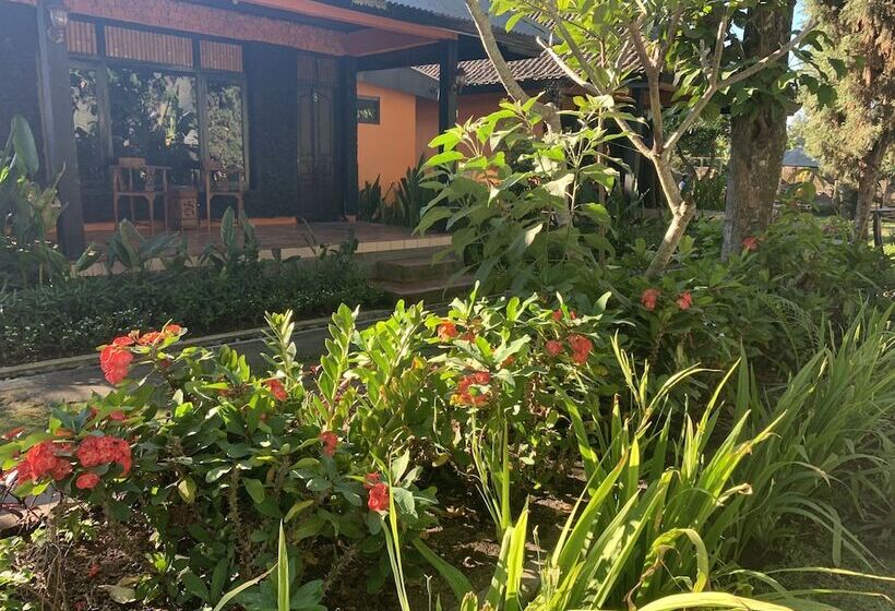 בית מלון כפרי Batur Sunrise Guesthouse