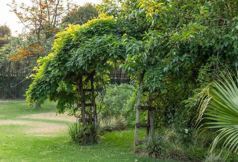 فندق Belvedere Estate