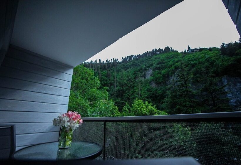 هتل Borjomi Underwood