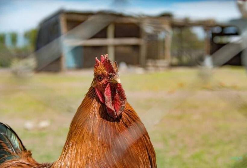 هتل Finca La Carmelita