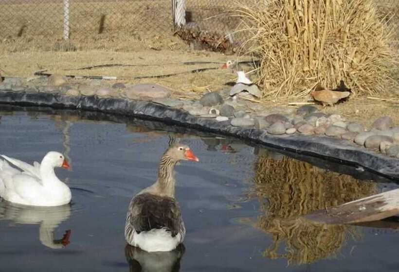 Отель Finca La Carmelita