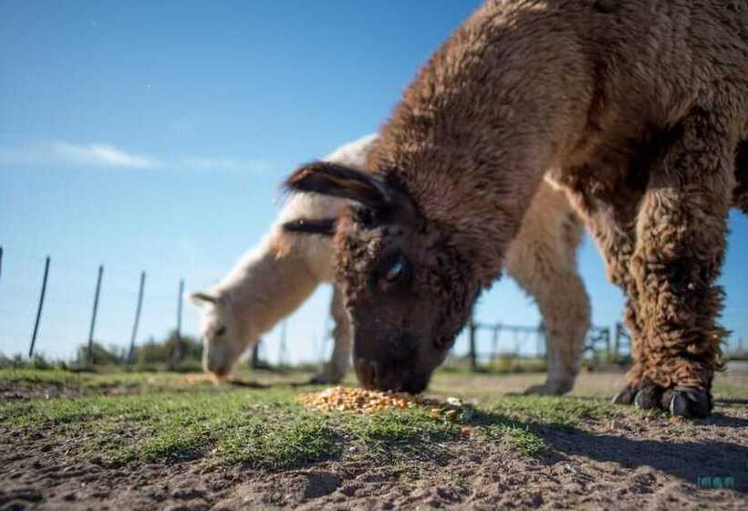 هتل Finca La Carmelita