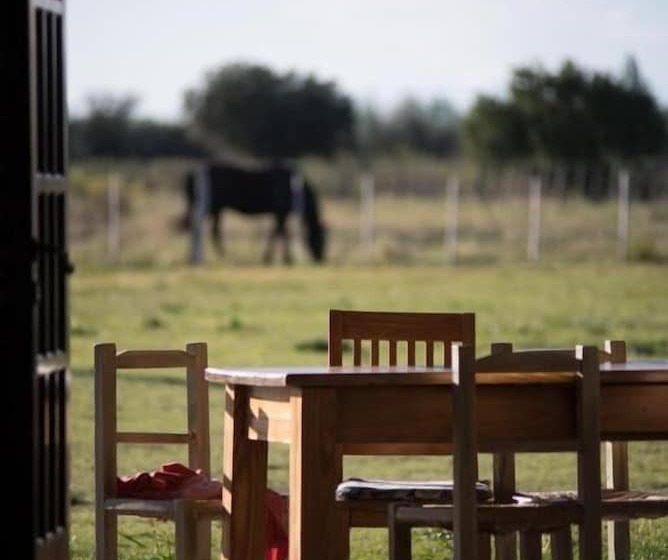 هتل Finca La Carmelita