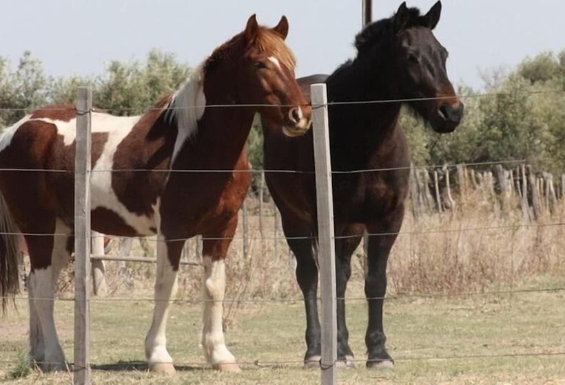 Отель Finca La Carmelita
