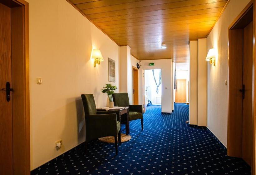 Отель Frankischer Hof