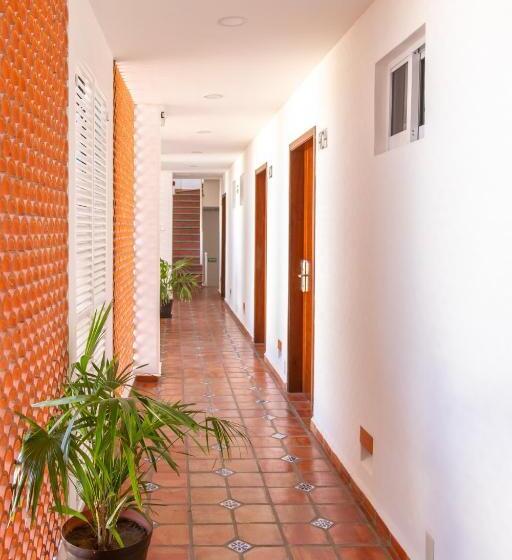 The Paramar Beachfront Boutique Hotel With Breakfast Included Downtown Malecon