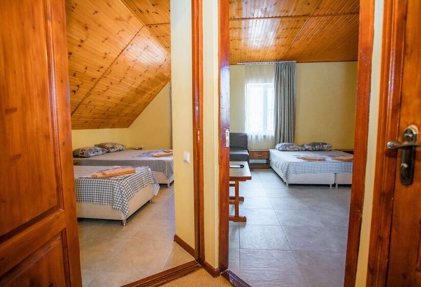 هتل Guest House Apelsin