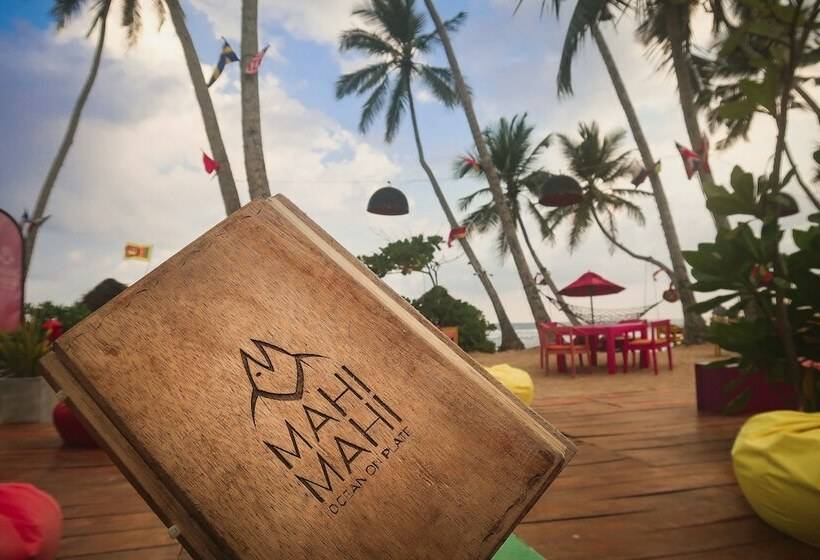 Отель Mahi Mahi