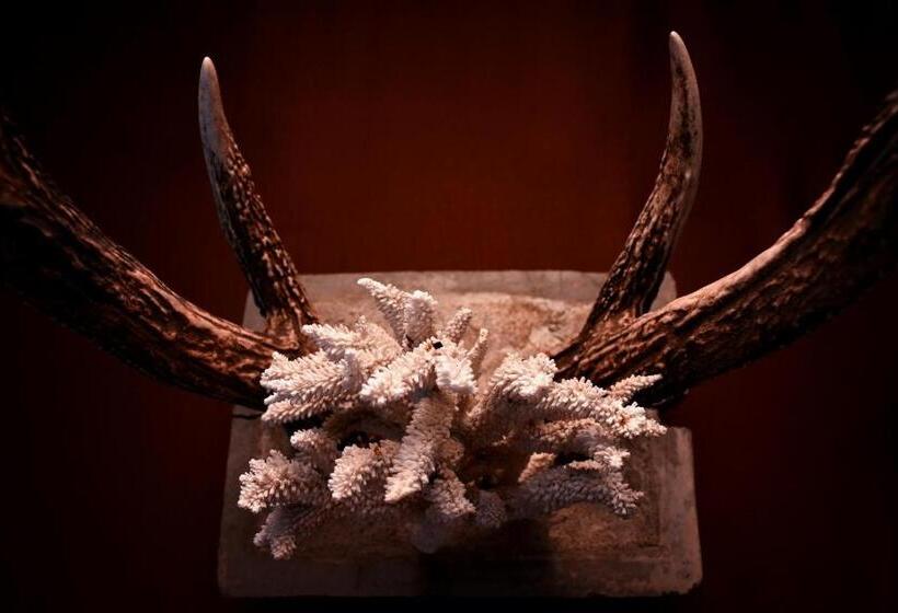 בית מלון כפרי Melheim Beach Kalpitiya