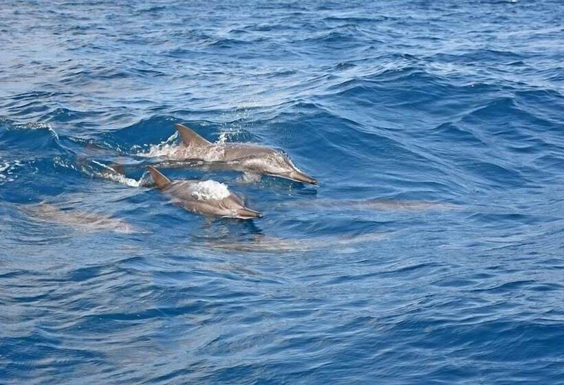 בית מלון כפרי Melheim Beach Kalpitiya