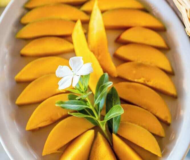 酒店 Pousada Cruzoé