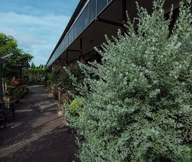 汽车旅馆  Chan Living