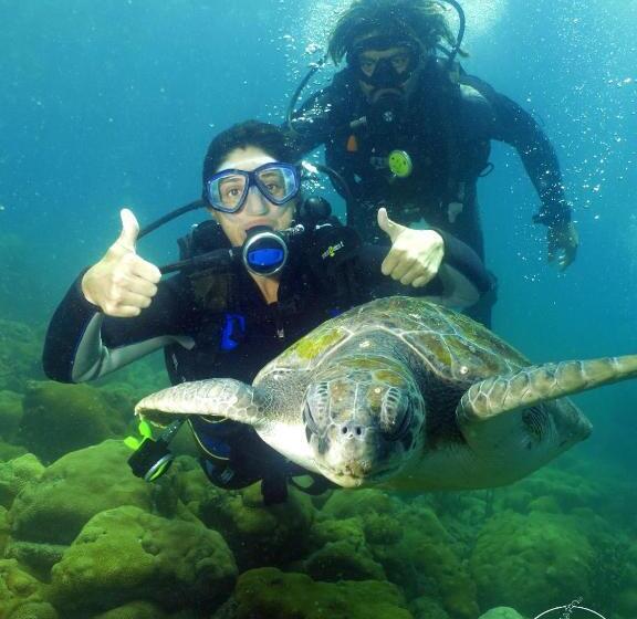 هاستل Pousada My House Cabo Frio