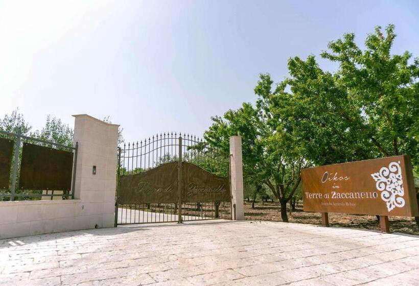 Oikos In Terre Di Zaccanello