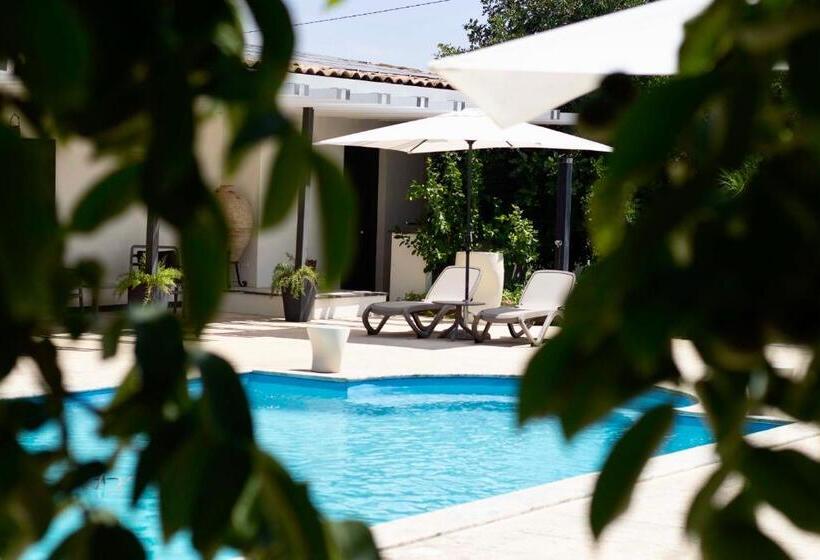 Oikos In Terre Di Zaccanello