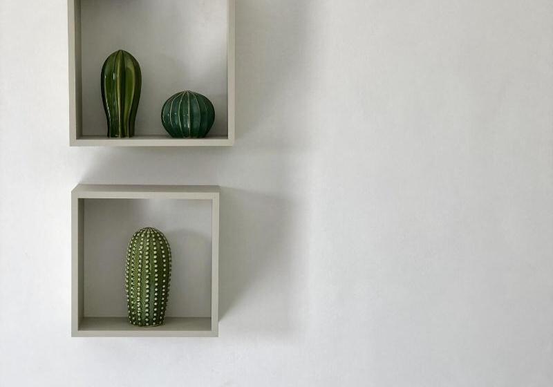 Oikos In Terre Di Zaccanello