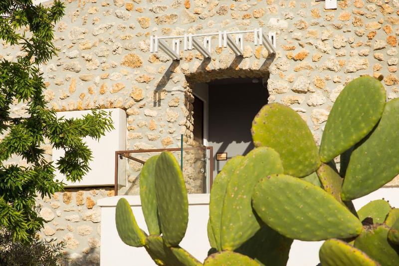 Oikos In Terre Di Zaccanello