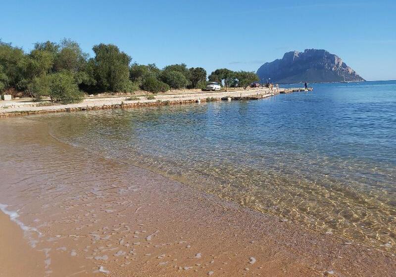 פנסיון Il Faro Di Molara