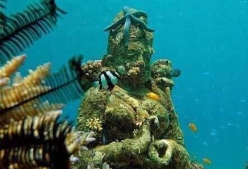 פנסיון Rare Angon Homestay