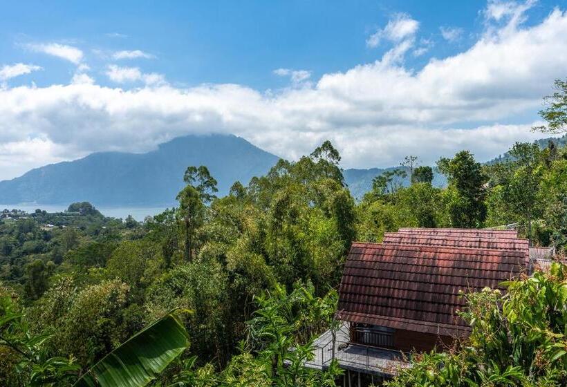 פנסיון Tiing Bali Guest House Kintamani