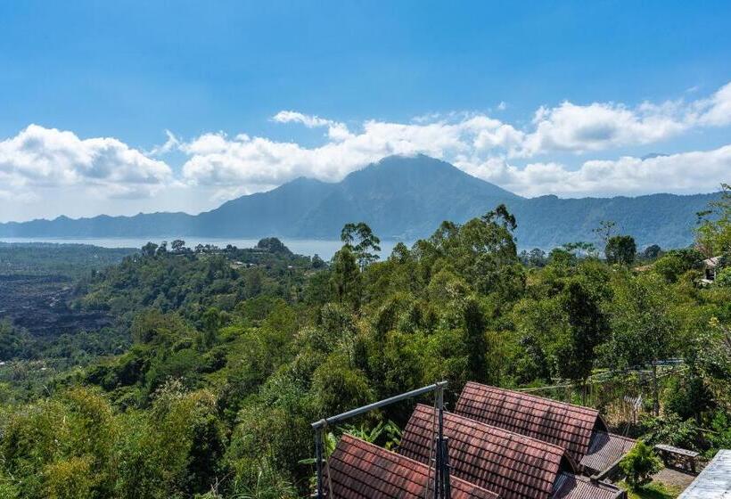 פנסיון Tiing Bali Guest House Kintamani