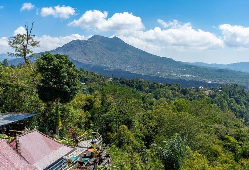 פנסיון Tiing Bali Guest House Kintamani