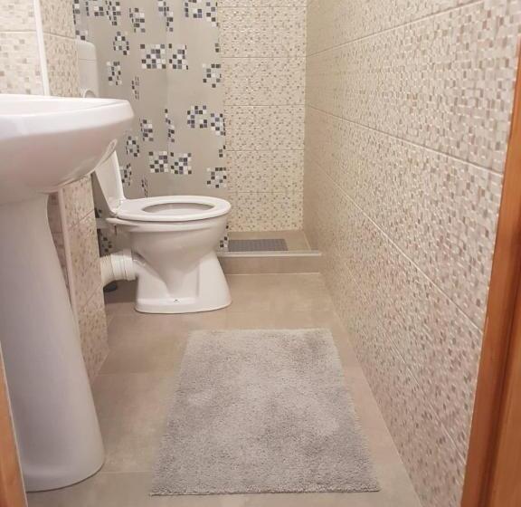 פנסיון Vila Fortuna Auri