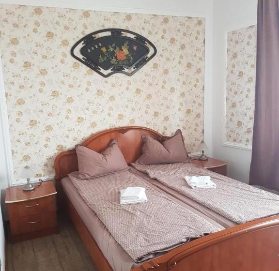 פנסיון Vila Fortuna Auri