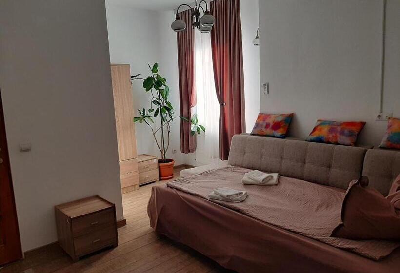 פנסיון Vila Fortuna Auri