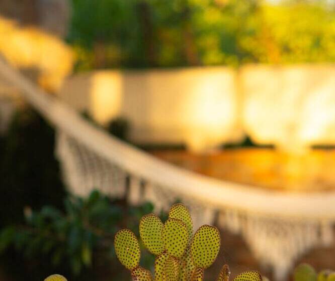 Residenza B&b Vistamare