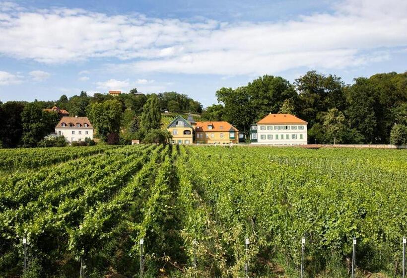Weingut Haus Steinbach