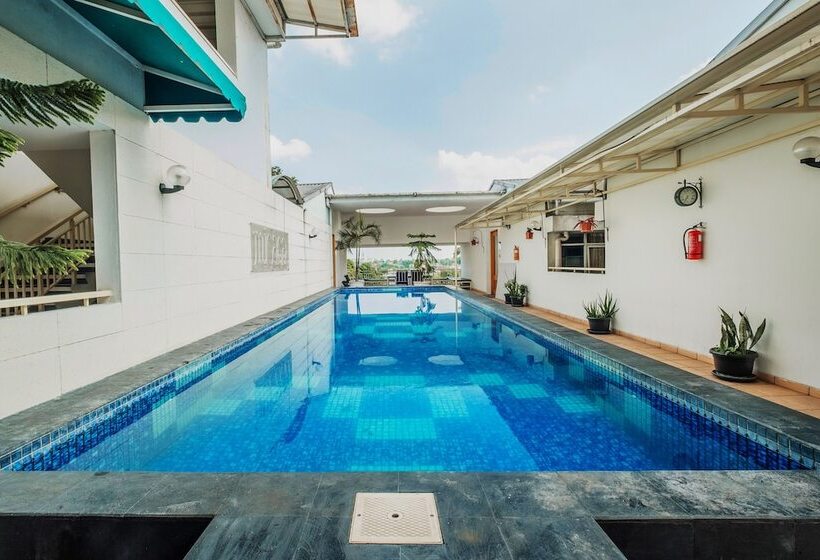 ユースホステル Micasa Residence By Oyo Rooms