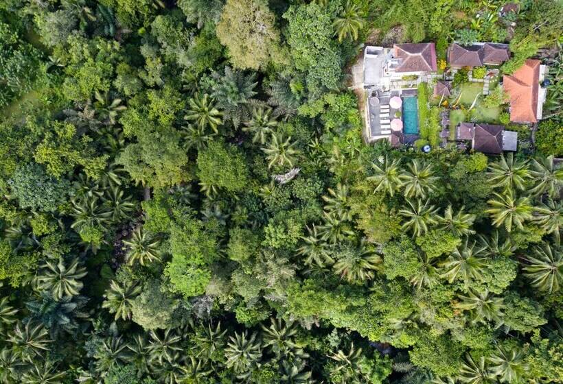 צימר Astana Swaha Villa