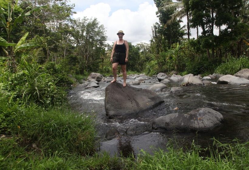 צימר Astana Swaha Villa