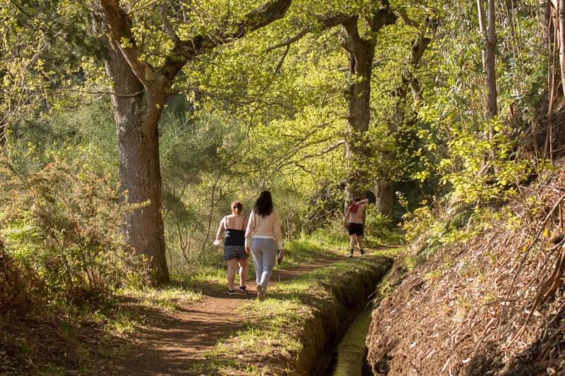 Cantinho Rural Camacha