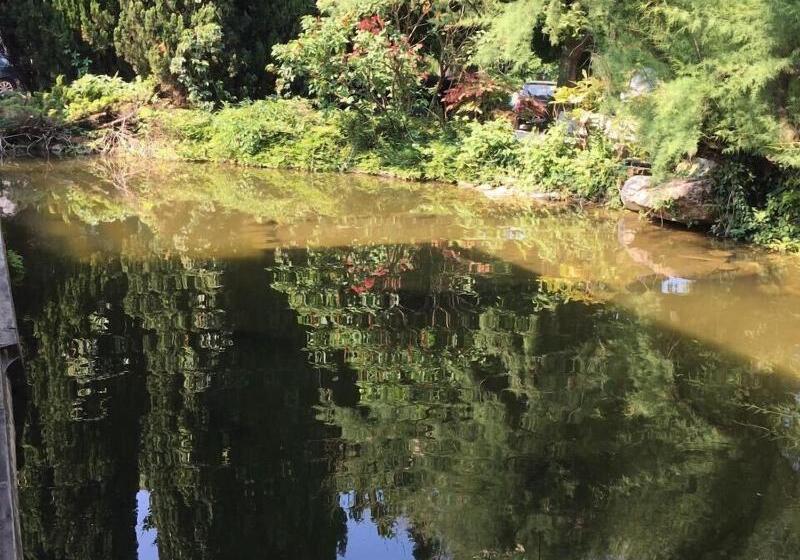 客栈  Parc Hotel Casa Mia