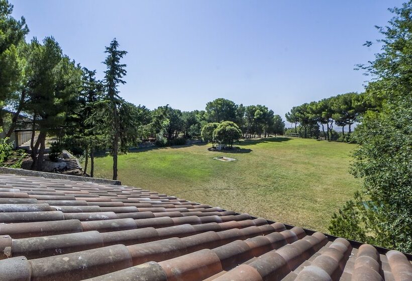 客栈 Poggio Active