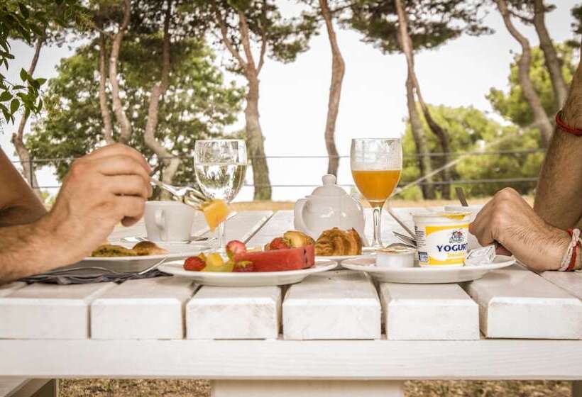 客栈 Poggio Active