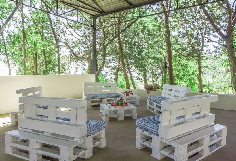 客栈 Poggio Active