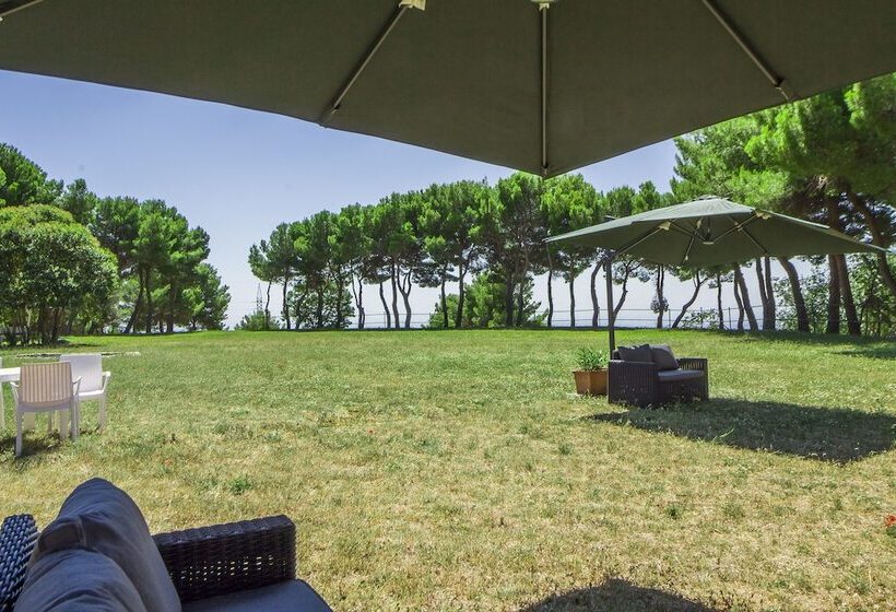 客栈 Poggio Active