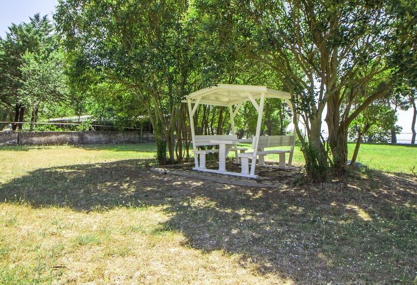 客栈 Poggio Active