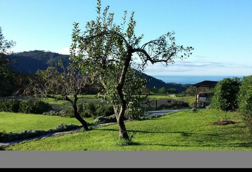 בית מלון כפרי Sostio A Levante