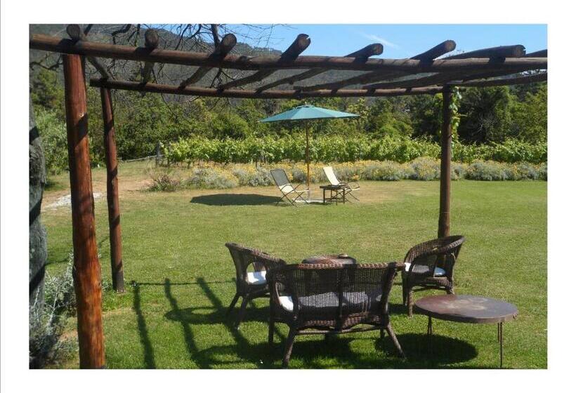 בית מלון כפרי Sostio A Levante