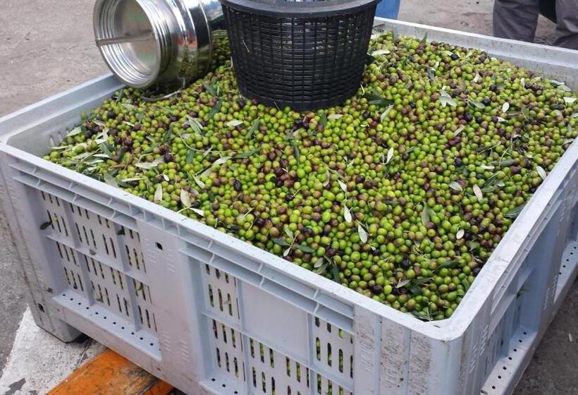 בית מלון כפרי Sostio A Levante