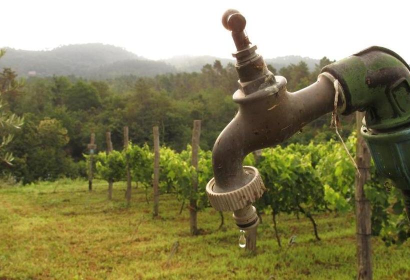 בית מלון כפרי Sostio A Levante