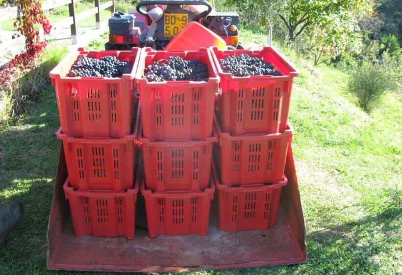 בית מלון כפרי Sostio A Levante