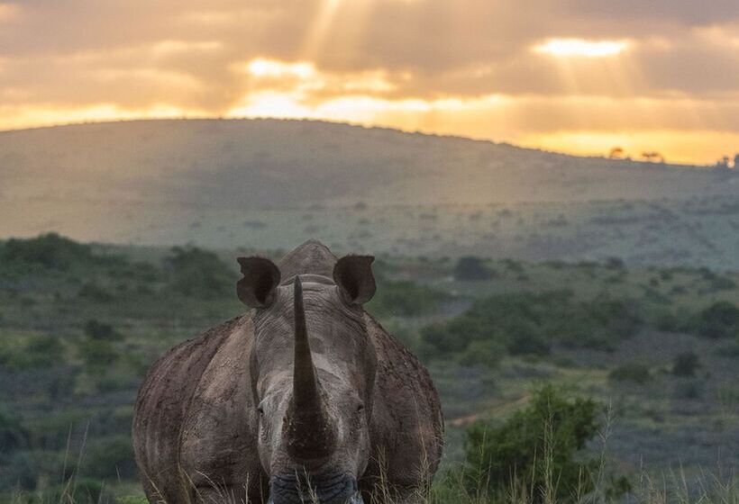 ホテル Shamwari Sindile