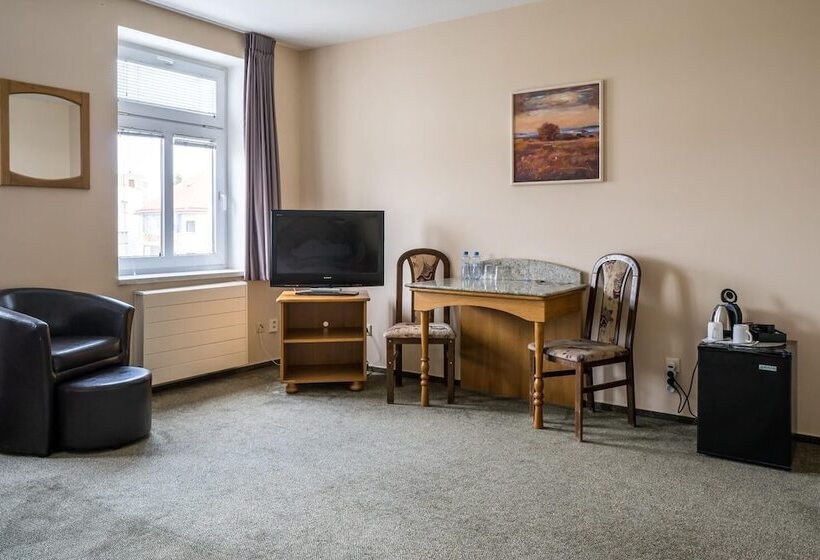 בית מלון כפרי U Labutě