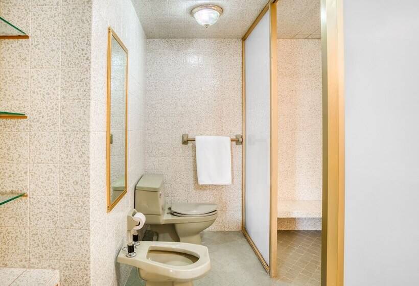 هتل Y Spa Posada Mirador